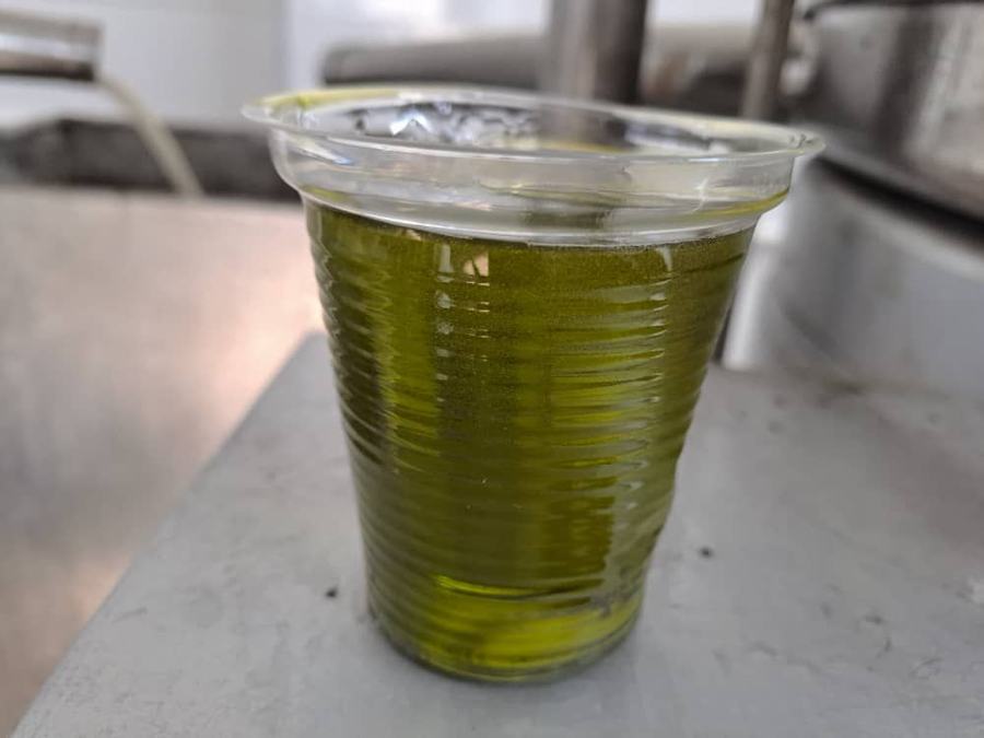 روغن تازه، رنگ طبیعی زیتون